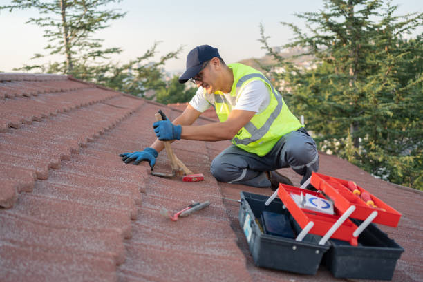 Best Metal Roofing Contractor  in Ransom Canyon, TX